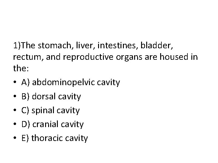 1)The stomach, liver, intestines, bladder, rectum, and reproductive organs are housed in the: •