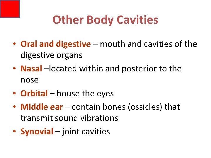 Other Body Cavities • Oral and digestive – mouth and cavities of the digestive