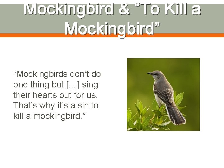 Mockingbird & “To Kill a Mockingbird” “Mockingbirds don’t do one thing but […] sing