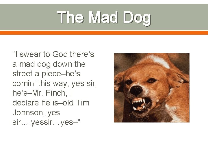 The Mad Dog “I swear to God there’s a mad dog down the street