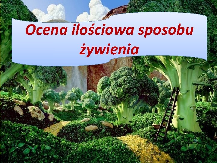 Ocena ilościowa sposobu żywienia 