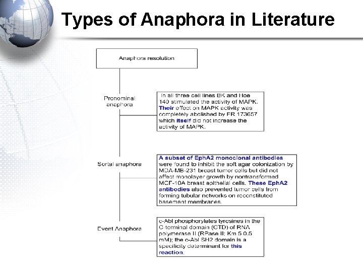 Types of Anaphora in Literature 