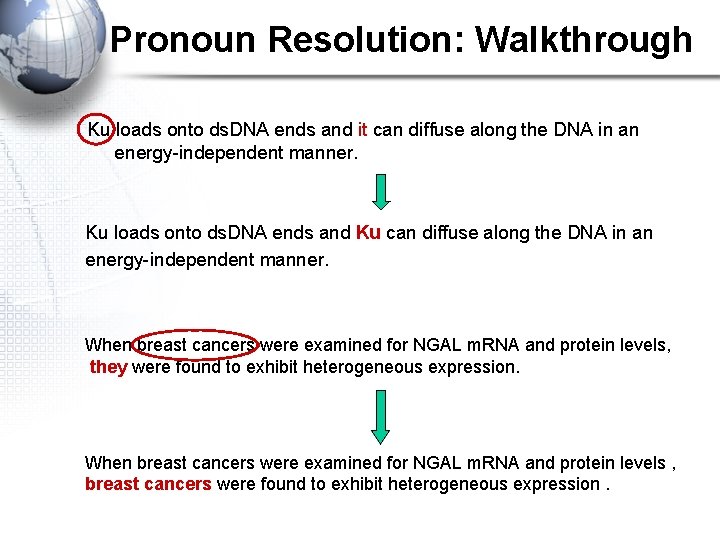 Pronoun Resolution: Walkthrough Ku loads onto ds. DNA ends and it can diffuse along