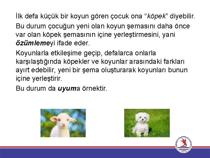 İlk defa küçük bir koyun gören çocuk ona “köpek” diyebilir. Bu durum çocuğun yeni