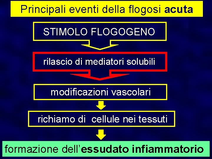 Principali eventi della flogosi acuta STIMOLO FLOGOGENO rilascio di mediatori solubili modificazioni vascolari richiamo