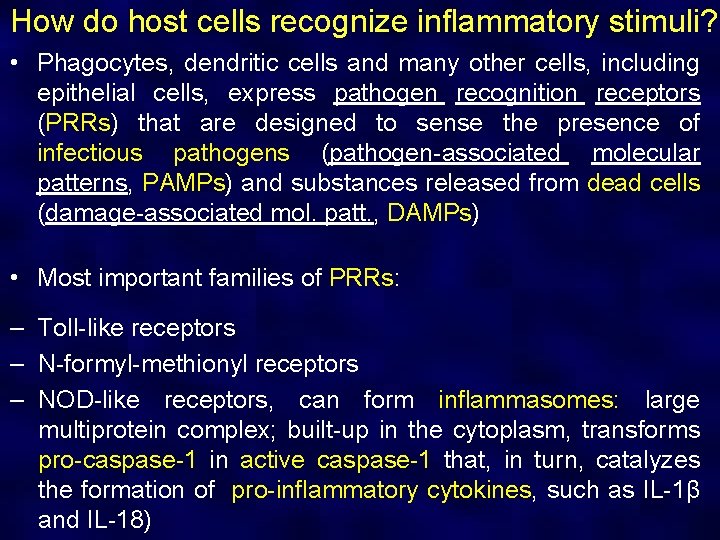How do host cells recognize inflammatory stimuli? • Phagocytes, dendritic cells and many other