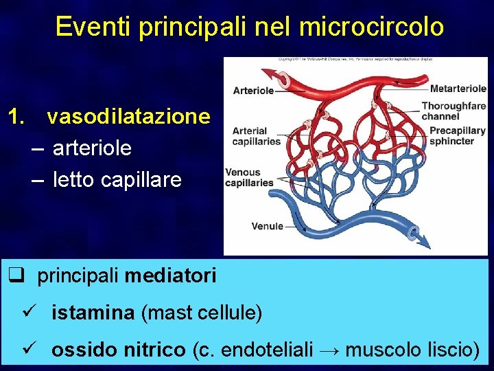 Eventi principali nel microcircolo 1. vasodilatazione – arteriole – letto capillare q principali mediatori
