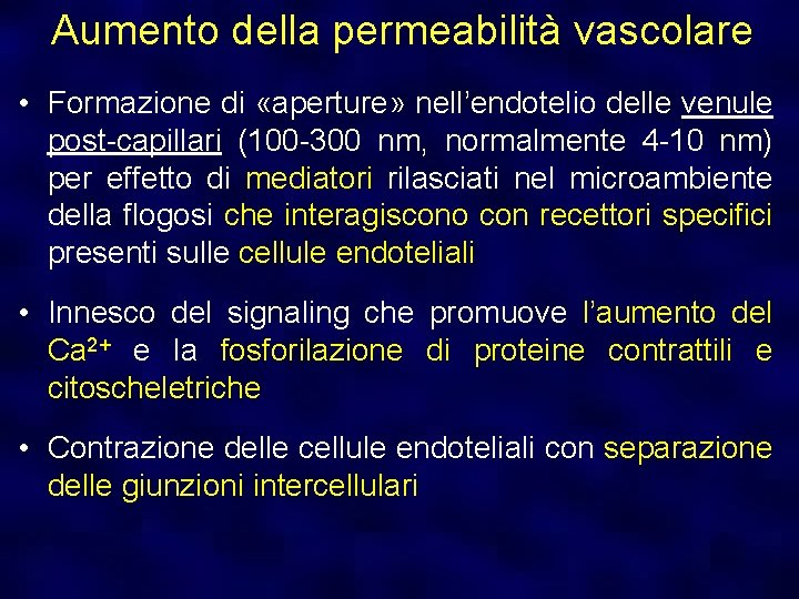Aumento della permeabilità vascolare • Formazione di «aperture» nell’endotelio delle venule post-capillari (100 -300