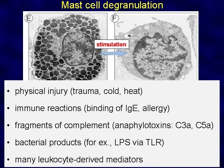 Mast cell degranulation stimulation • physical injury (trauma, cold, heat) • immune reactions (binding