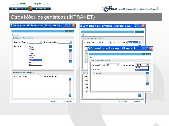 [ Otros Módulos genéricos (INTRANET) el GIS Corporativo del Gobierno Vasco] 