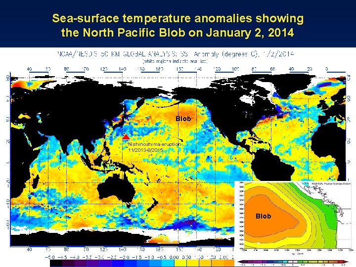 Sea-surface temperature anomalies showing the North Pacific Blob on January 2, 2014 Blob Nishinoshima Sea-surface temperature anomalies showing the North Pacific Blob on January 2, 2014 Blob Nishinoshima