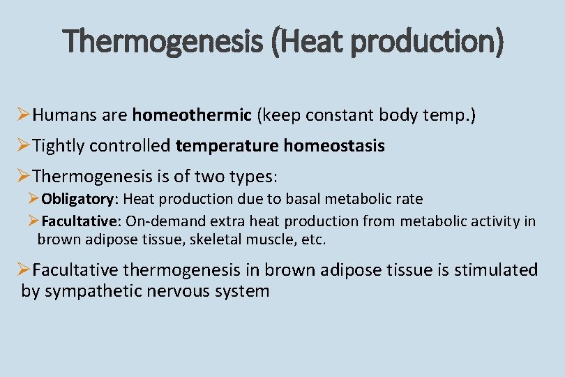 Thermogenesis (Heat production) ØHumans are homeothermic (keep constant body temp. ) ØTightly controlled temperature