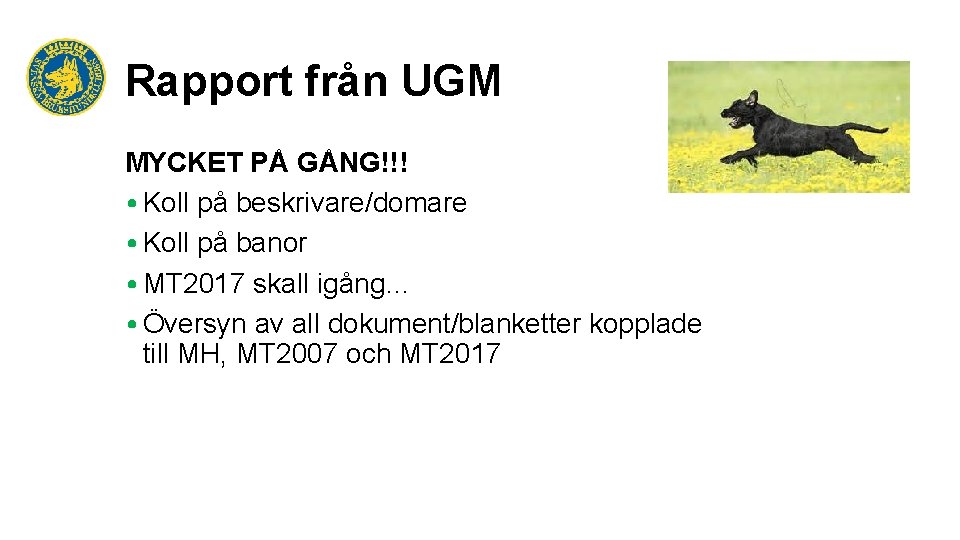 Rapport från UGM MYCKET PÅ GÅNG!!! • Koll på beskrivare/domare • Koll på banor