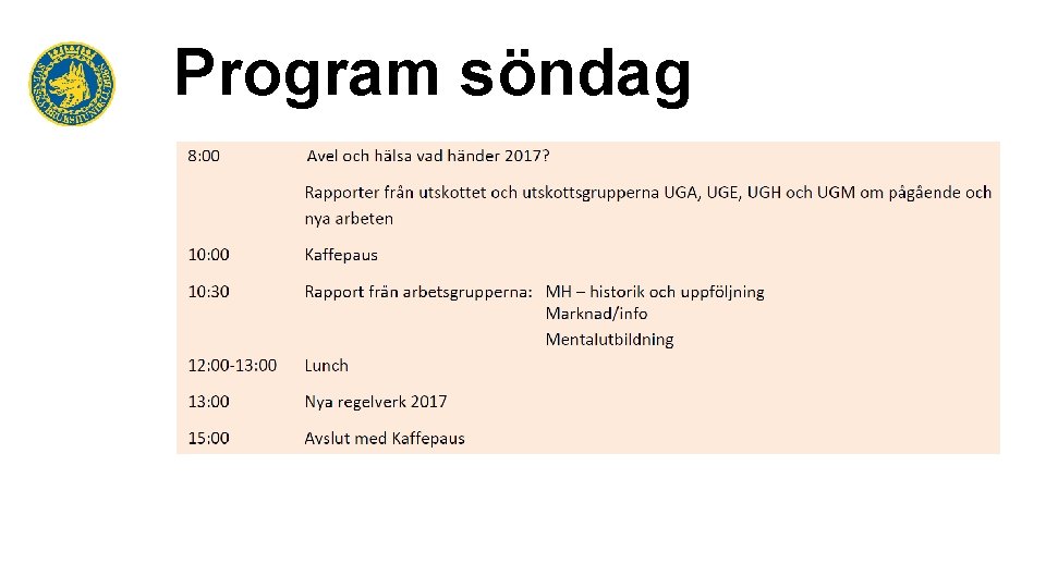 Program söndag 