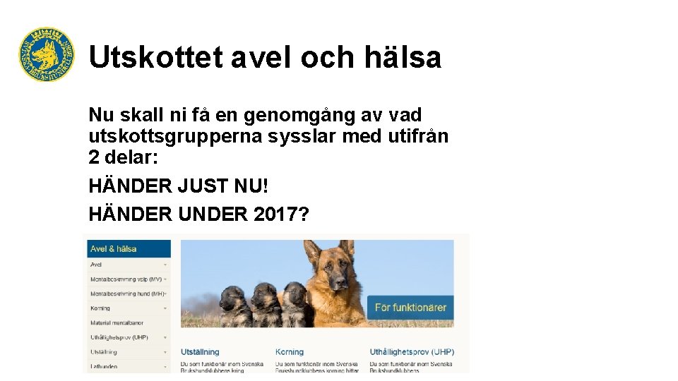 Utskottet avel och hälsa Nu skall ni få en genomgång av vad utskottsgrupperna sysslar