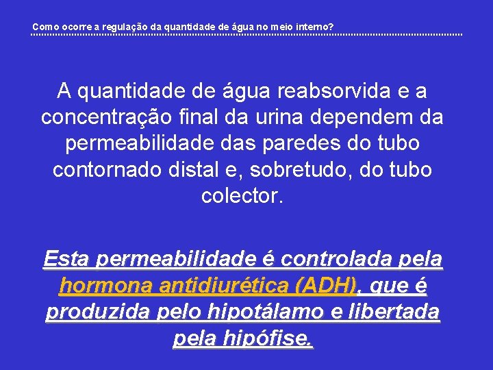 Como ocorre a regulação da quantidade de água no meio interno? A quantidade de