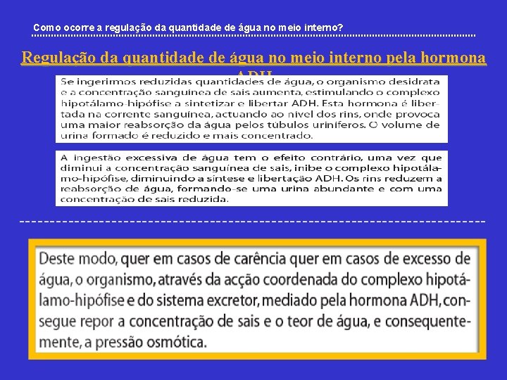 Como ocorre a regulação da quantidade de água no meio interno? Regulação da quantidade