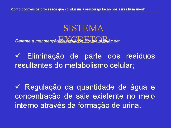 Como ocorrem os processos que conduzem à osmorregulação nos seres humanos? SISTEMA Garante a