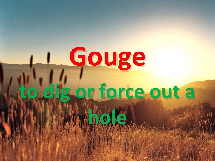 Gouge to dig or force out a hole 