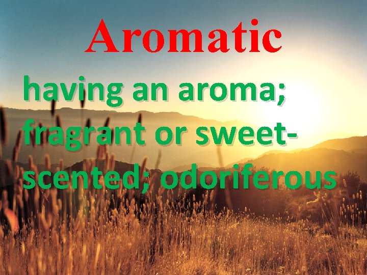 Aromatic having an aroma; fragrant or sweetscented; odoriferous 