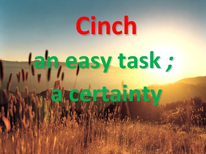 Cinch an easy task ; a certainty 