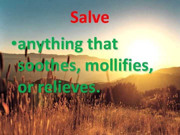 Salve • anything that soothes, mollifies, or relieves. 