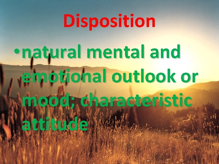 Disposition • natural mental and emotional outlook or mood; characteristic attitude 