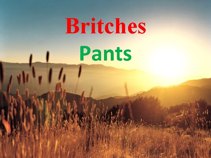 Britches Pants 