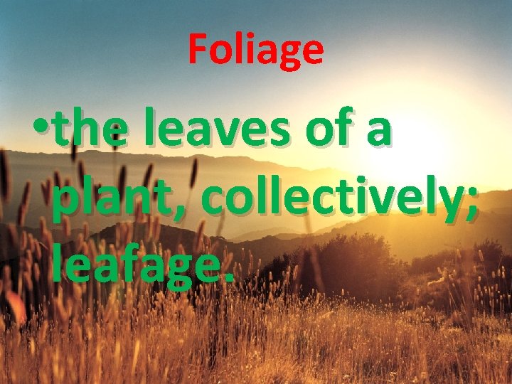 Foliage • the leaves of a plant, collectively; leafage. 