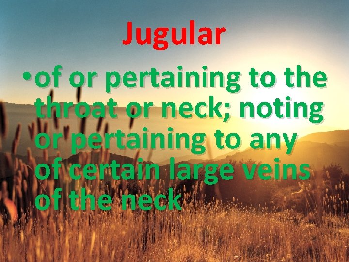 Jugular • of or pertaining to the throat or neck; noting or pertaining to