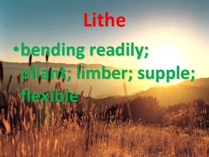 Lithe • bending readily; pliant; limber; supple; flexible 