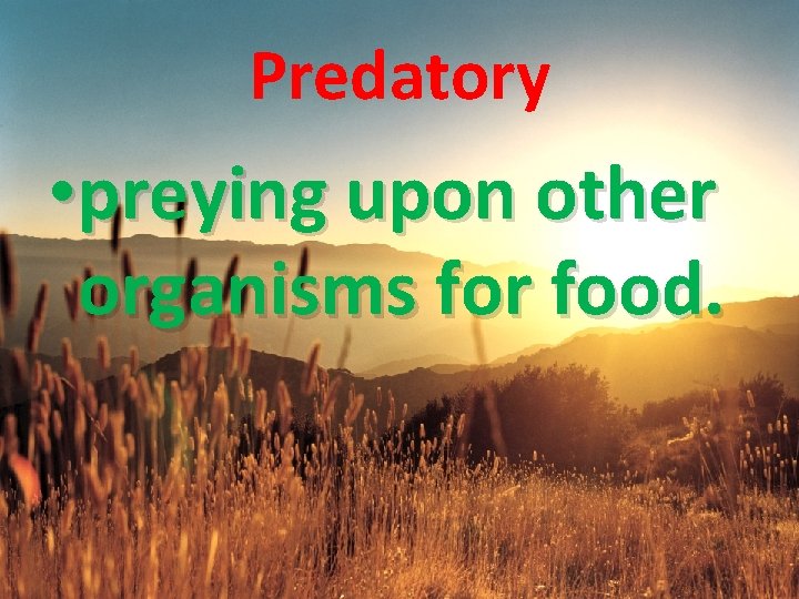 Predatory • preying upon other organisms for food. 