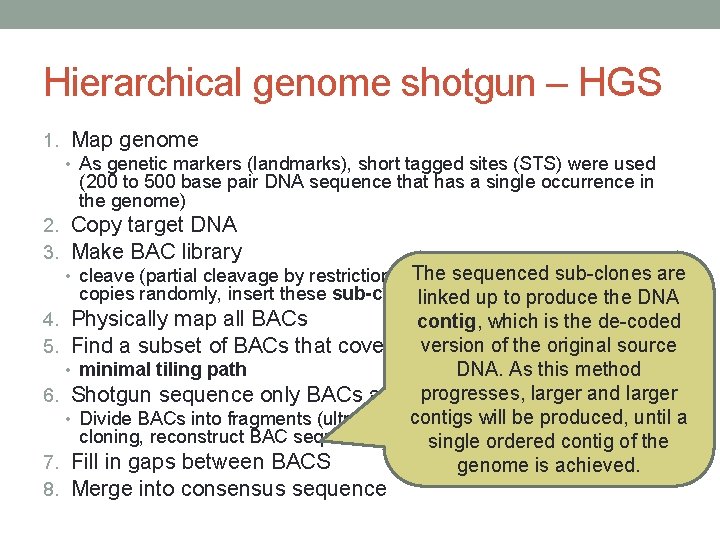 Hierarchical genome shotgun – HGS 1. Map genome • As genetic markers (landmarks), short