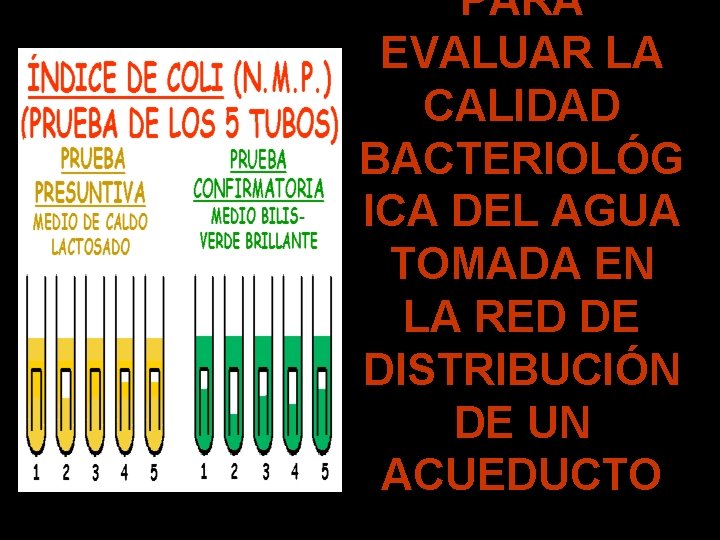 PARA EVALUAR LA CALIDAD BACTERIOLÓG ICA DEL AGUA TOMADA EN LA RED DE DISTRIBUCIÓN