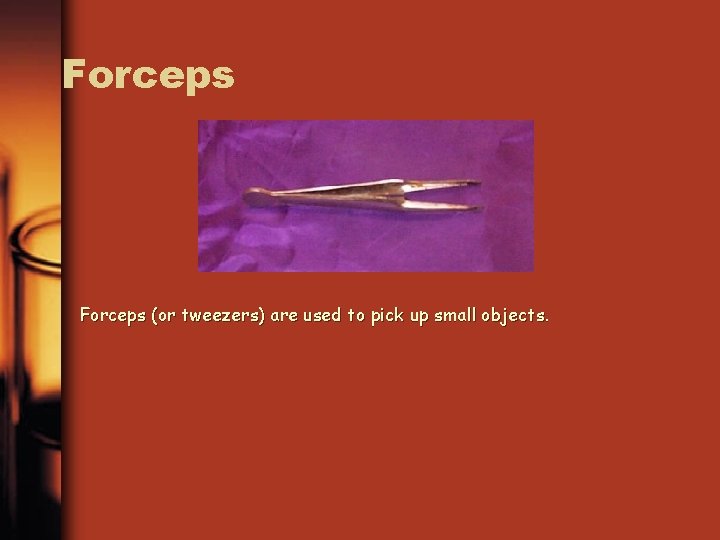 Forceps (or tweezers) are used to pick up small objects. 