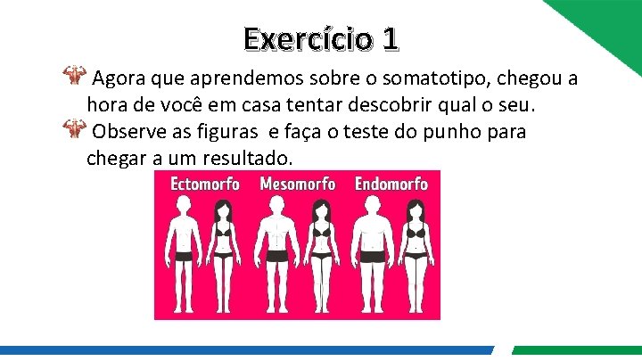 Exercício 1 Agora que aprendemos sobre o somatotipo, chegou a hora de você em