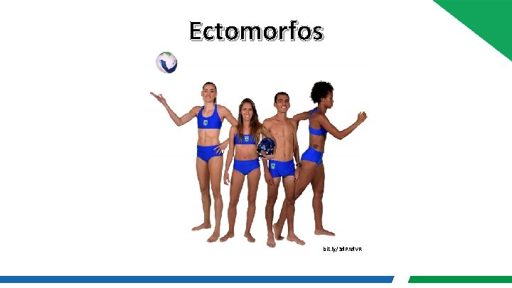 Ectomorfos bit. ly/3 d. PXd. VR 