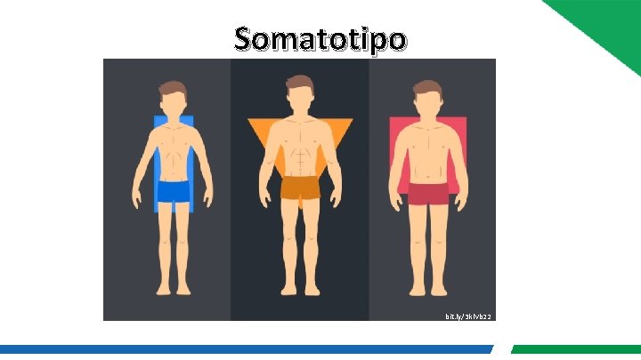 Somatotipo bit. ly/3 kl. Vb 22 