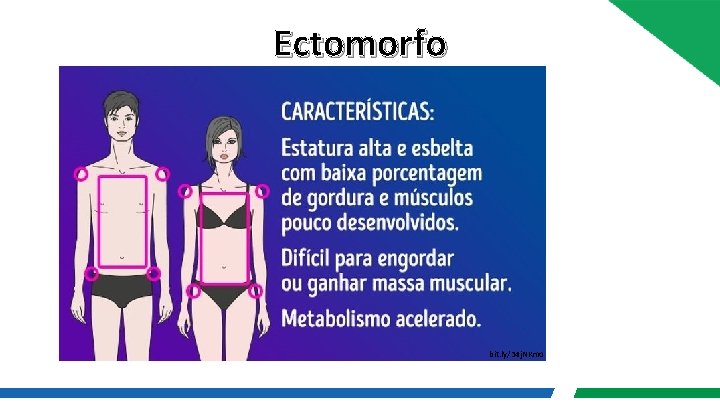 Ectomorfo bit. ly/34 j. NKmo 