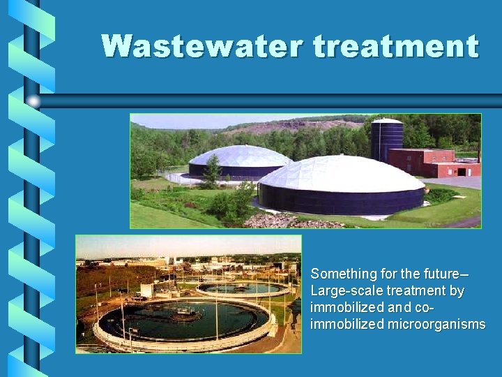 Wastewater treatment Something for the future-Large-scale treatment by immobilized and coimmobilized microorganisms 