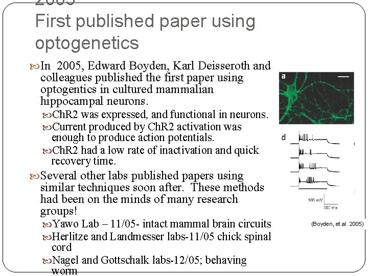 2005 First published paper using optogenetics In 2005, Edward Boyden, Karl Deisseroth and colleagues