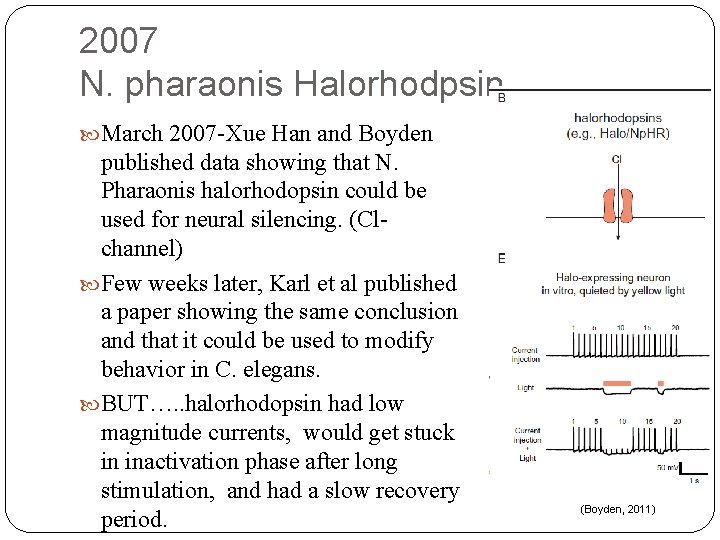 2007 N. pharaonis Halorhodpsin March 2007 -Xue Han and Boyden published data showing that