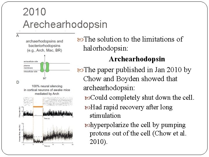 2010 Arechearhodopsin The solution to the limitations of halorhodopsin: Archearhodopsin The paper published in