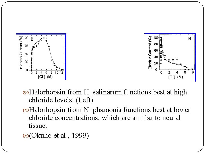  Halorhopsin from H. salinarum functions best at high chloride levels. (Left) Halorhopsin from