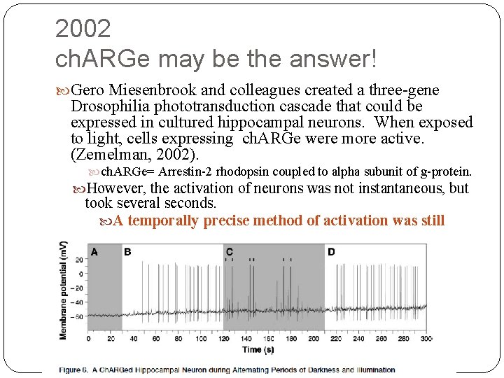 2002 ch. ARGe may be the answer! Gero Miesenbrook and colleagues created a three-gene