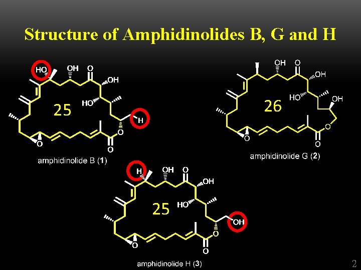 Structure of Amphidinolides B, G and H 26 25 25 2 