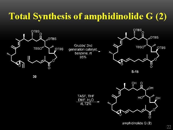 Total Synthesis of amphidinolide G (2) 22 