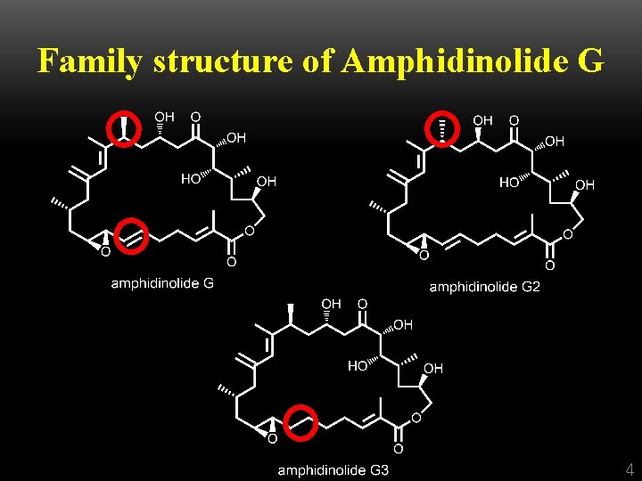 Family structure of Amphidinolide G 4 