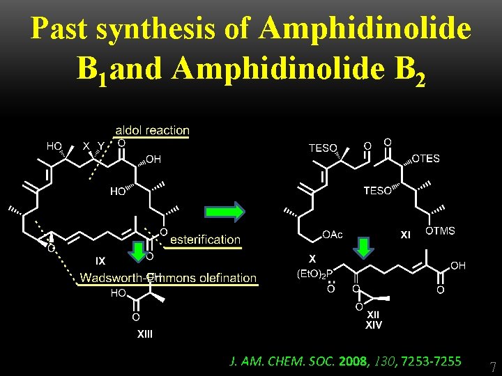 Past synthesis of Amphidinolide B 1 and Amphidinolide B 2 J. AM. CHEM. SOC.