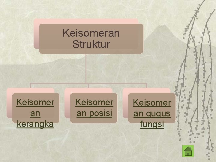 Keisomeran Struktur Keisomer an kerangka Keisomer an posisi Keisomer an gugus fungsi 